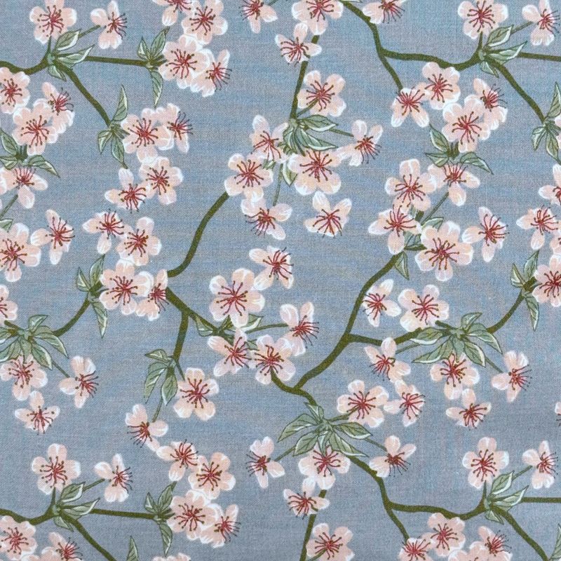 Pute Sakura