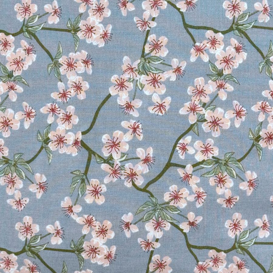 Pute Sakura