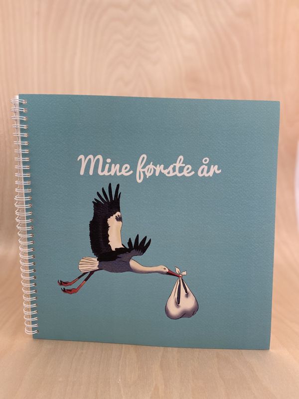 Mine første år