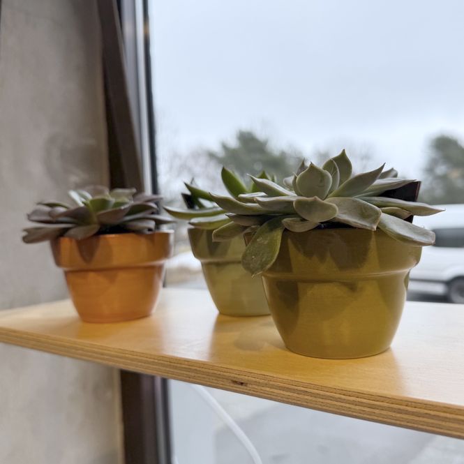 Hovedbilde mini pottesjuler