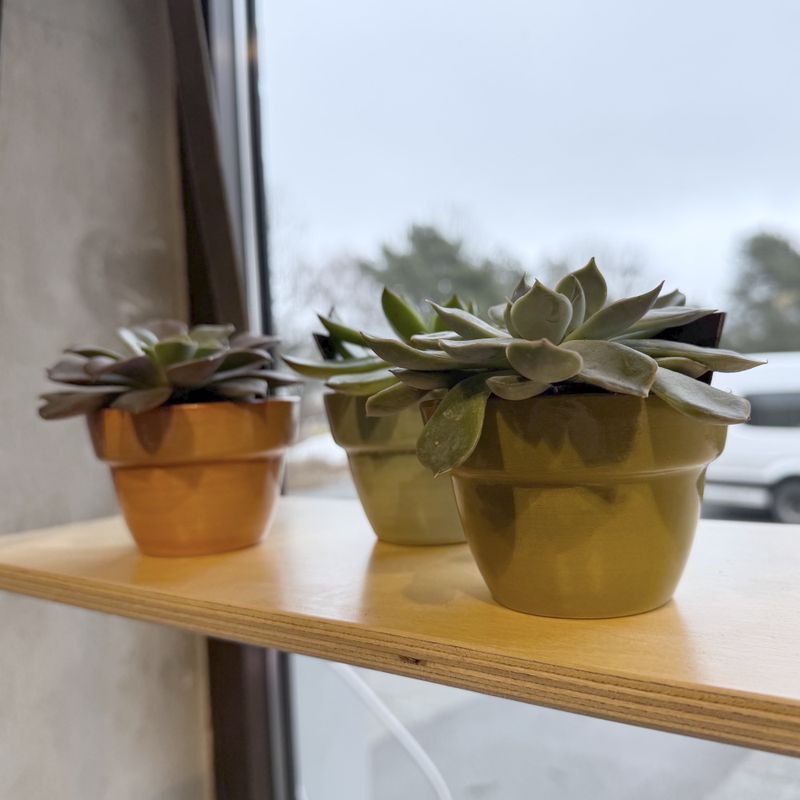 mini pottesjuler