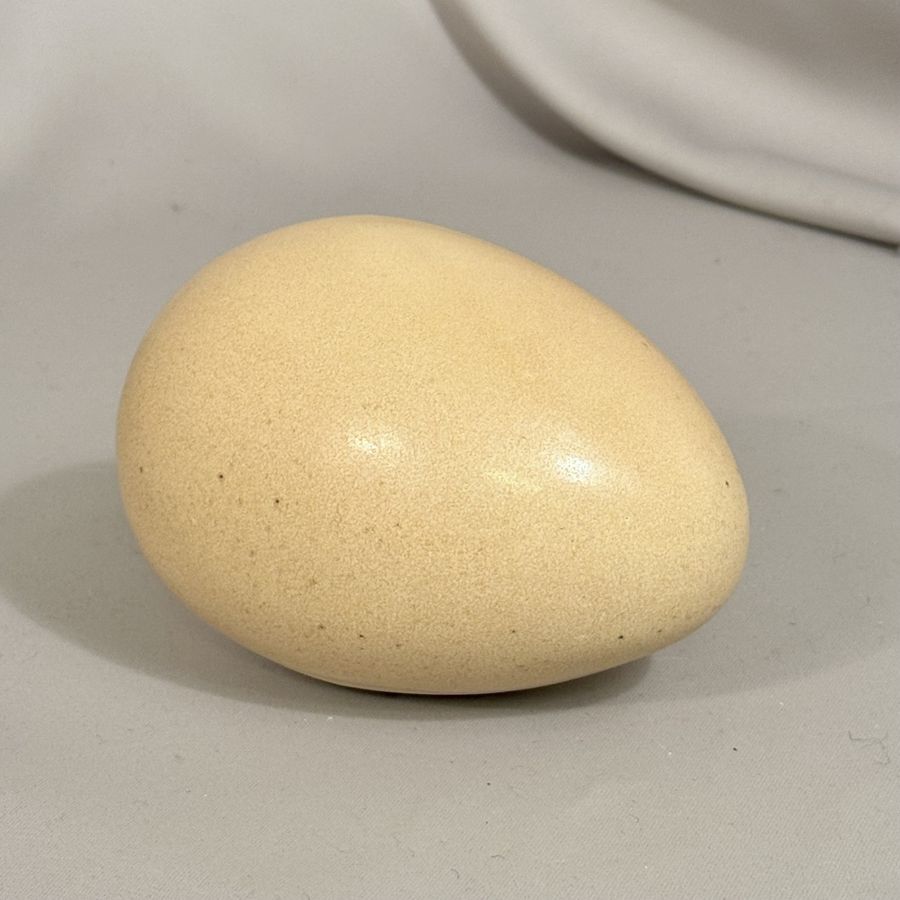 Påskeegg (dekor)
